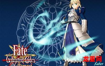 fate stay night（完整版免费版）（全文免费阅读）